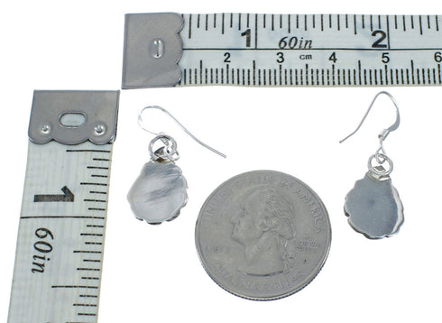 Tear Drop Turquoise Sterling Silver Hook Dangle Native American Earrings NN20316